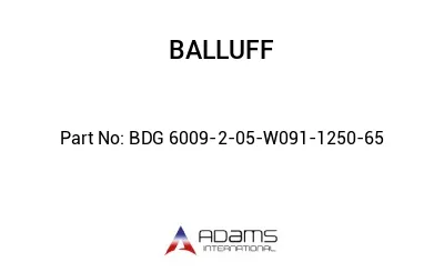 BDG 6009-2-05-W091-1250-65									