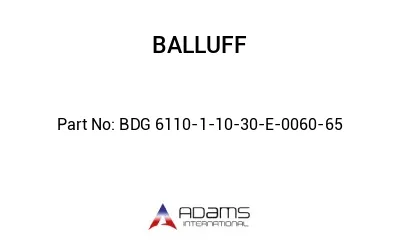 BDG 6110-1-10-30-E-0060-65									