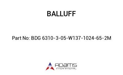 BDG 6310-3-05-W137-1024-65-2M									