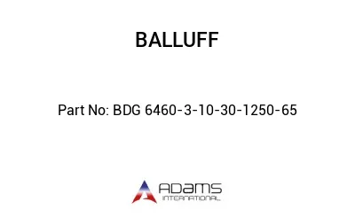 BDG 6460-3-10-30-1250-65									