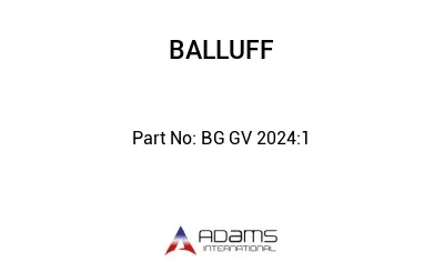 BG GV 2024:1									