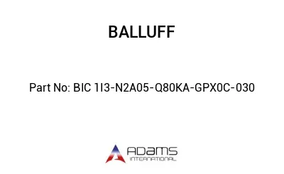 BIC 1I3-N2A05-Q80KA-GPX0C-030									