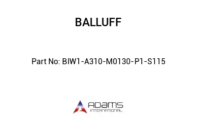 BIW1-A310-M0130-P1-S115									