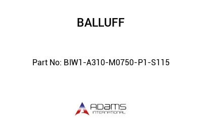 BIW1-A310-M0750-P1-S115									