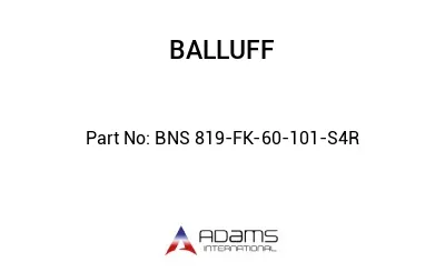 BNS 819-FK-60-101-S4R									