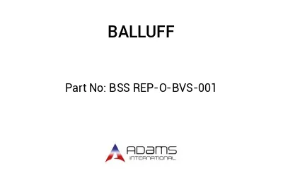 BSS REP-O-BVS-001									