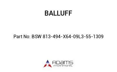 BSW 813-494-X64-09L3-55-1309									