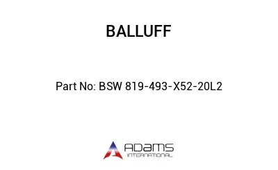 BSW 819-493-X52-20L2									